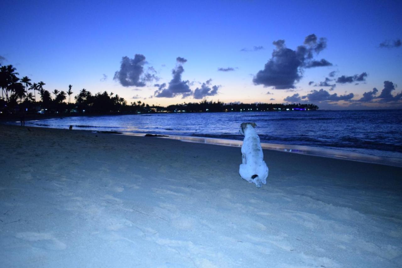 La Dolce Vita Beachfront Hotels, Las Terrenas, Samana المظهر الخارجي الصورة